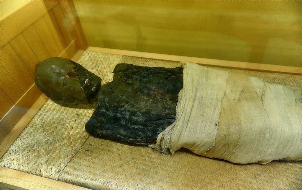 Mumia egipska w muzeum w Raciborzu