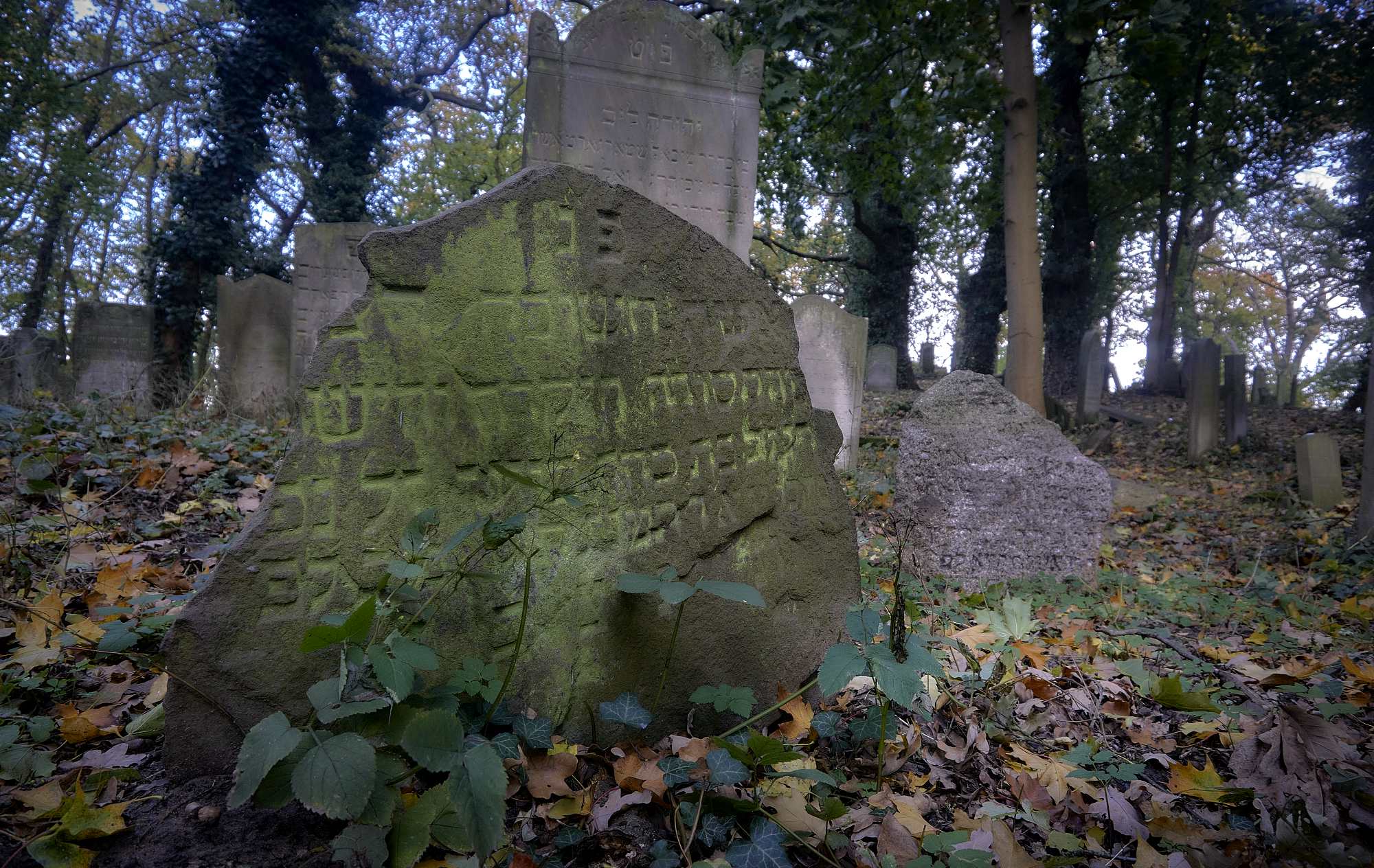 Skwierzyna cmentarz Żydowski