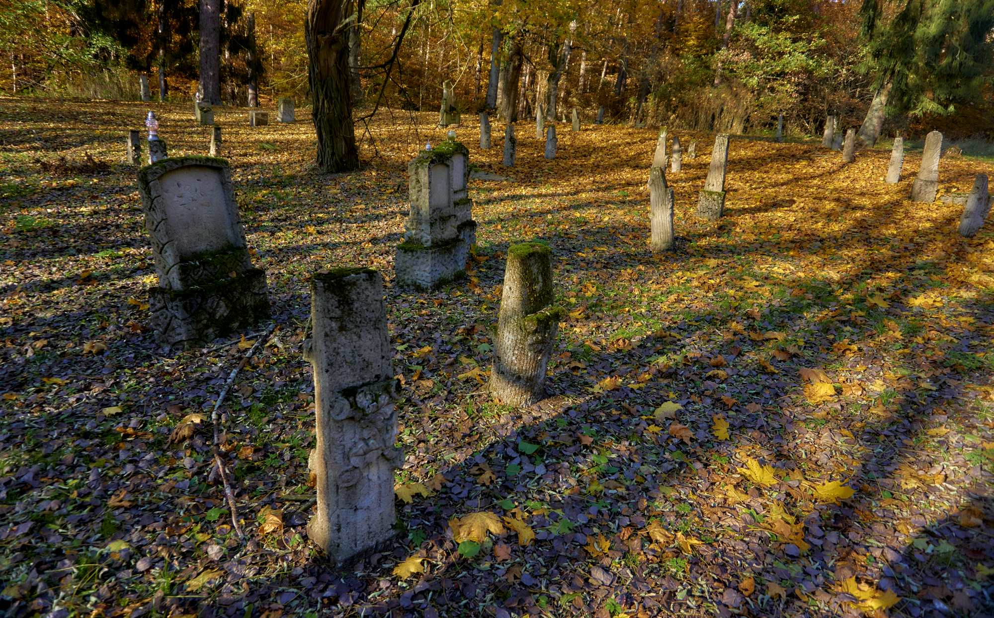 Springe stary cmentarz ewangelicki zagubiony w lesie