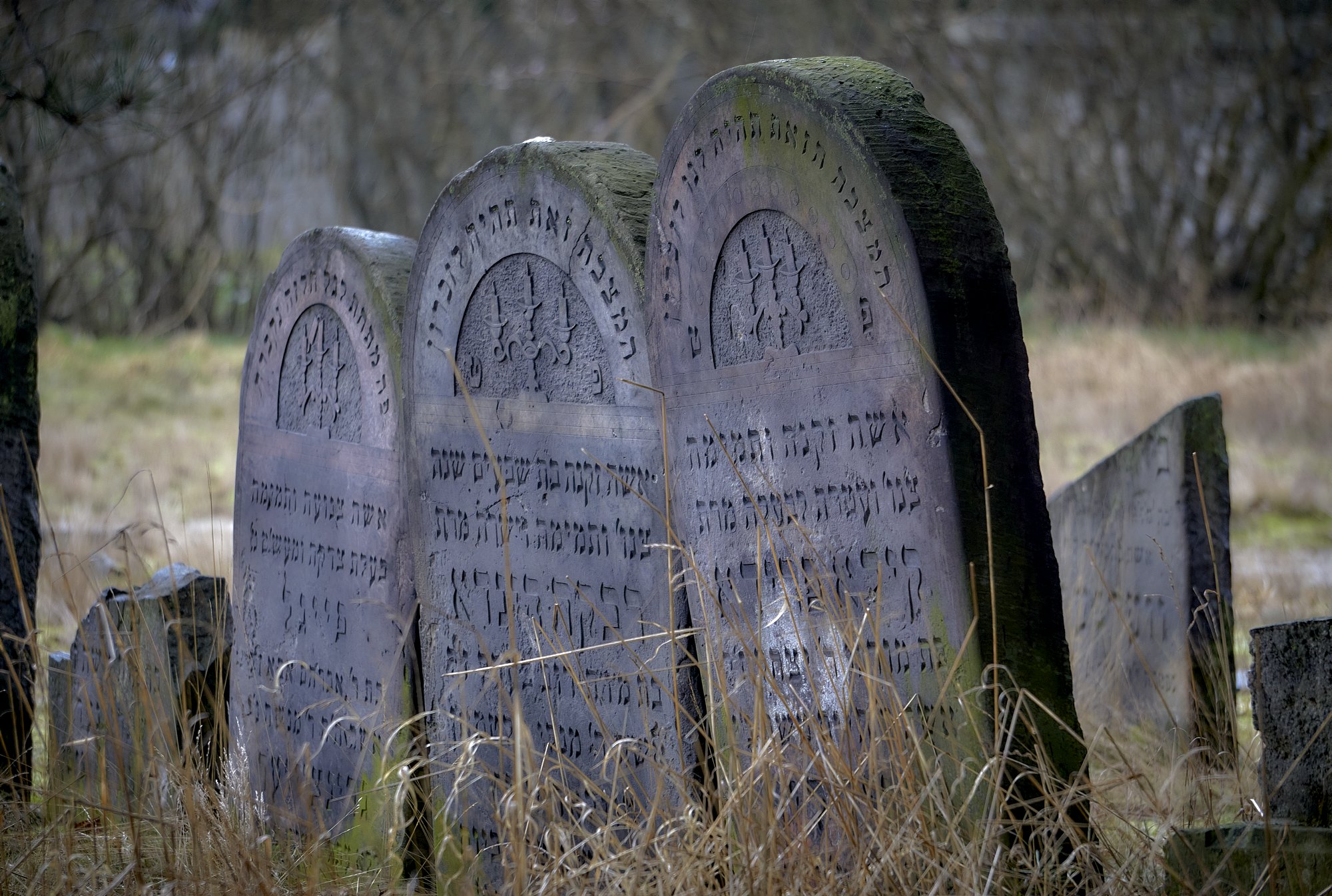 cmentarz żydowski w Żarkach