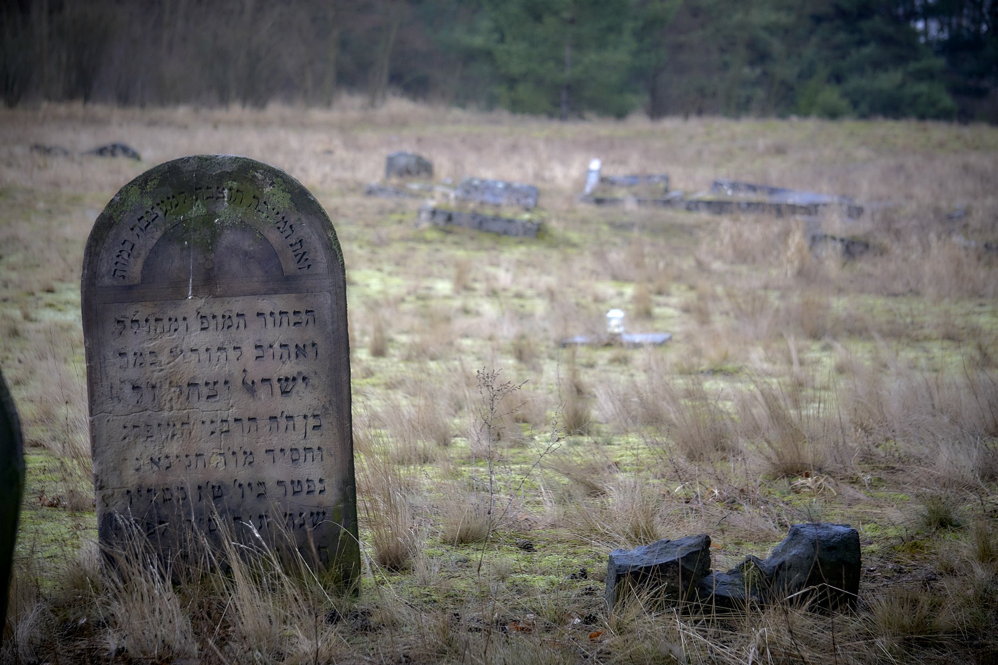 cmentarz żydowski w Żarkach