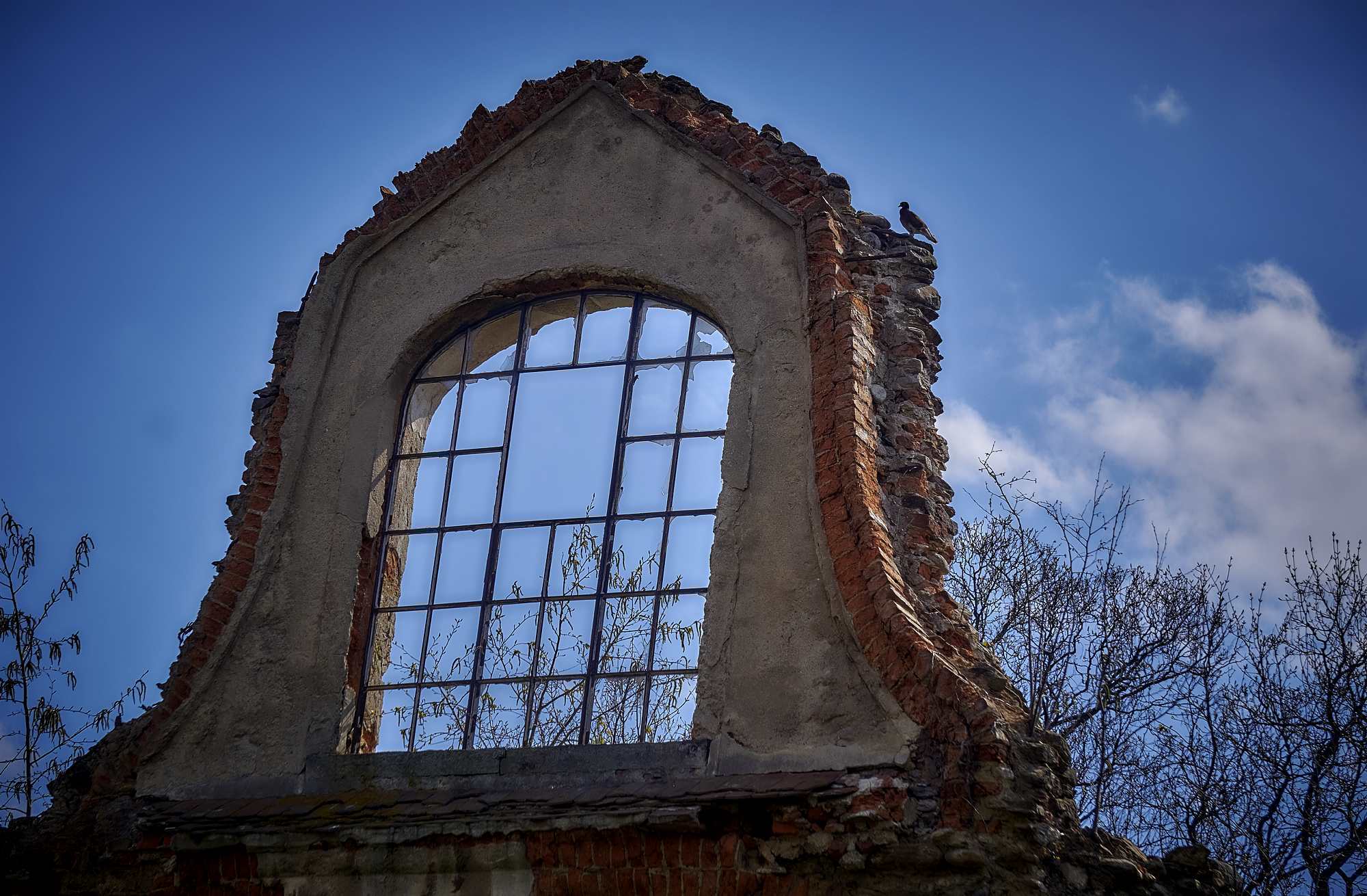 Ruiny kościoła ewangelickiego w Mirsku