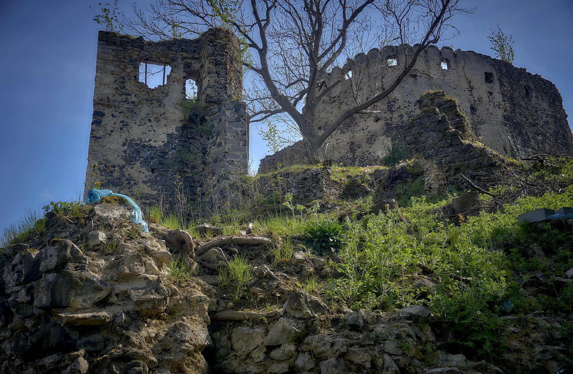 Ruiny Zamku Gryf w Proszówce