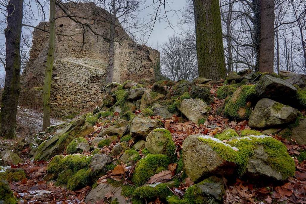 ruiny zamku cisy
