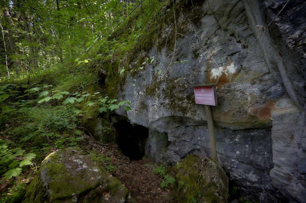 Jaskinia Walońska